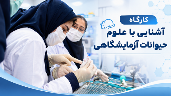 Biomedical Lab Workshop Poster 
